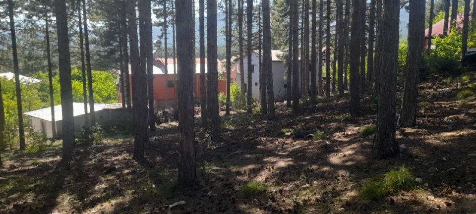 3 KATLI, MASRAFSIZ 400 m2