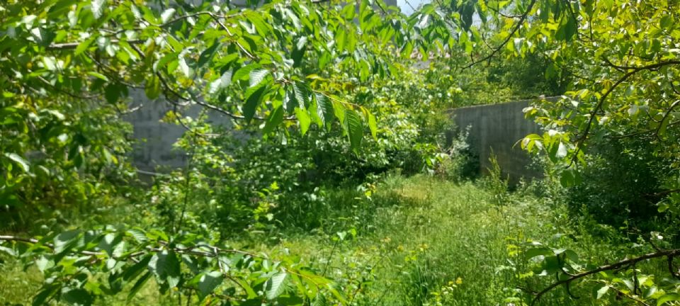 SAĞLIK OCAĞI KARŞISI, 336 M. TİPİK BİR YAYLA EVİ