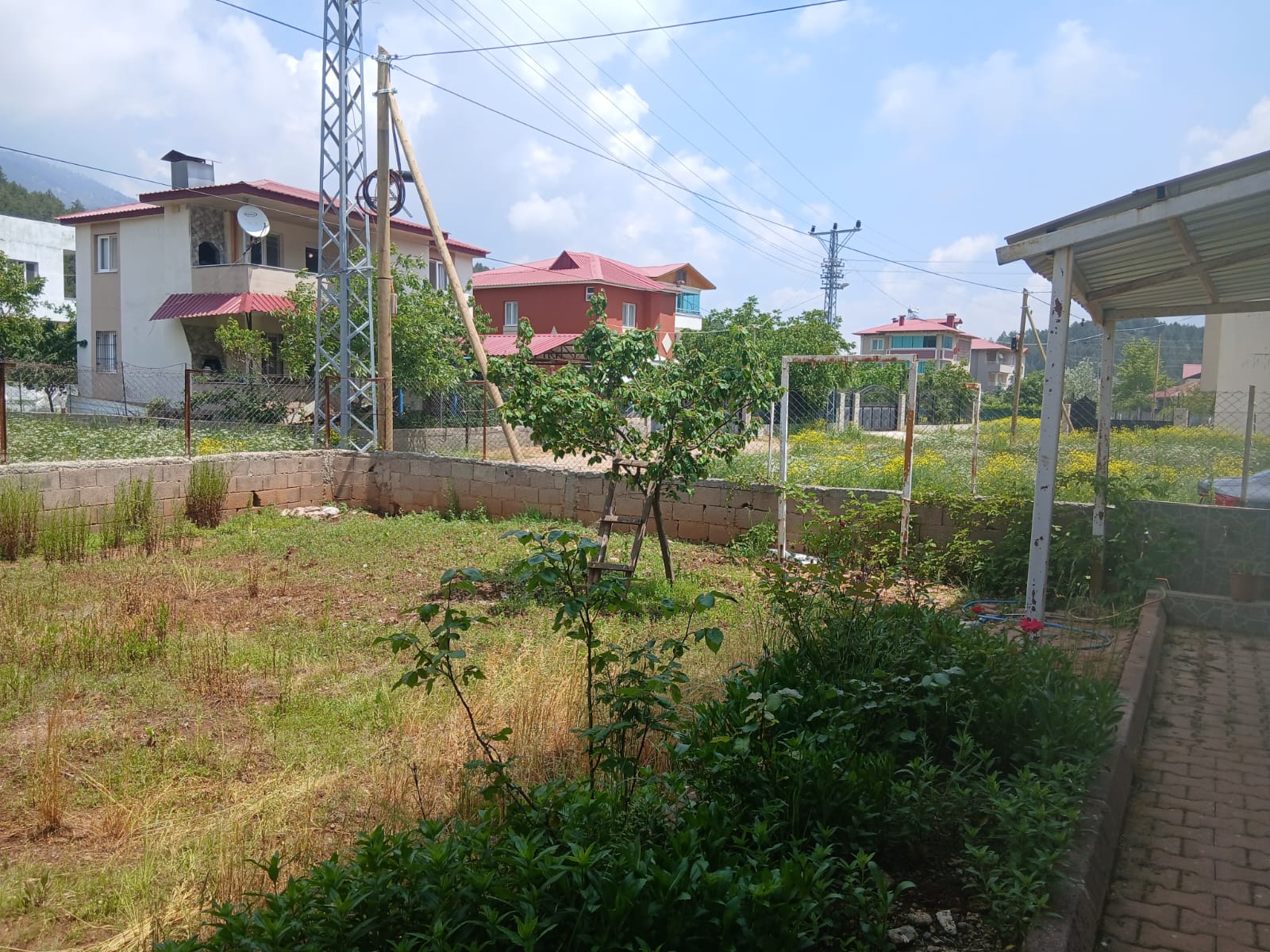 3 KATLI NOHUTLUDA, 600 M2