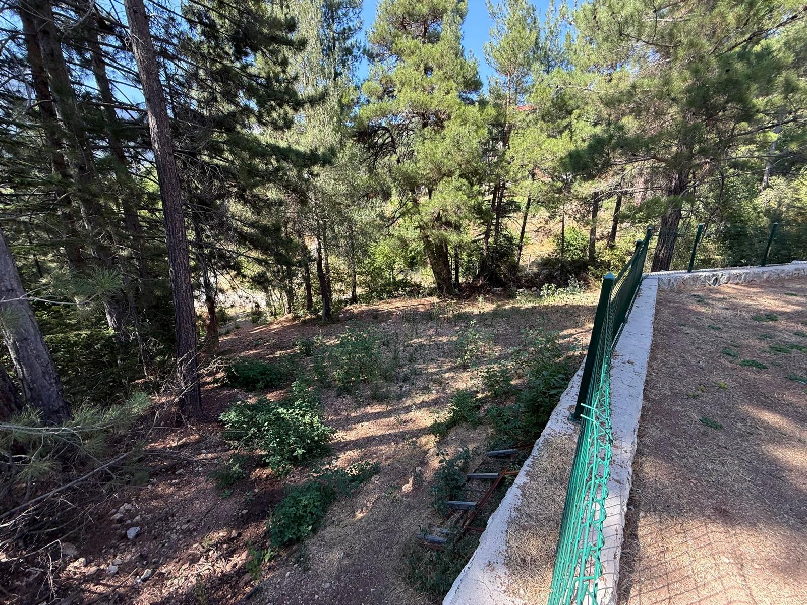 SÖĞÜTLÜ MEVKİİ 4+1, 350M.ARSALI LÜKS VİLLA, ANA YOL YAKINI